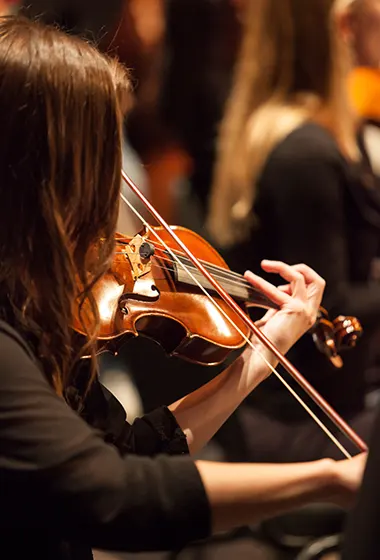 Instruments a cordes